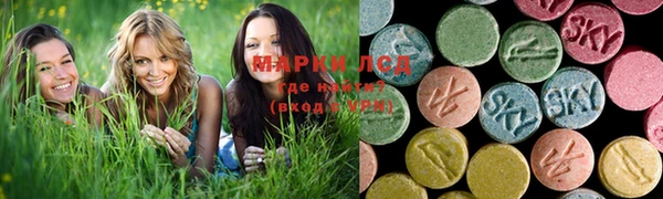 прущие грибы Баксан