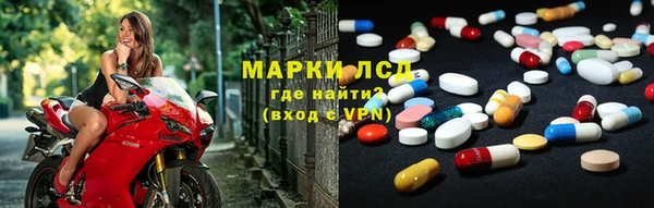 шишки Новокубанск