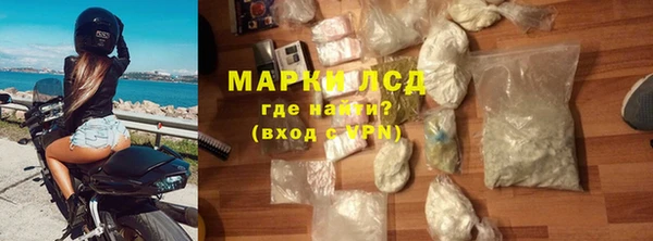 стафф Новодвинск